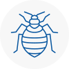 Bed Bug Extermination In St Pancras
