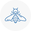 Bee Nest Removal St Pancras
