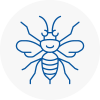 St Pancras Hornet Nest Removals