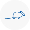 Mice Exterminators In St Pancras