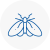 Moth Control Specialists In St Pancras