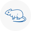 Rat Control St Pancras