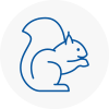 St Pancras Rodent Removals